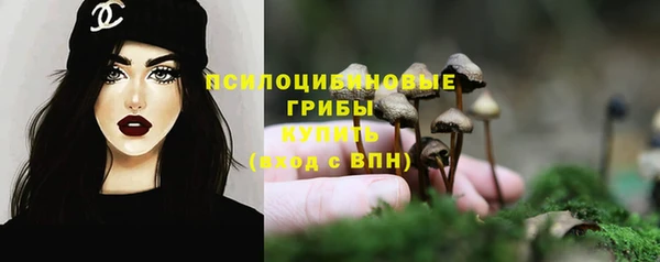 индика Аркадак