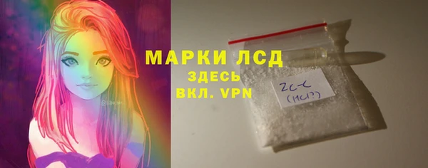 индика Аркадак