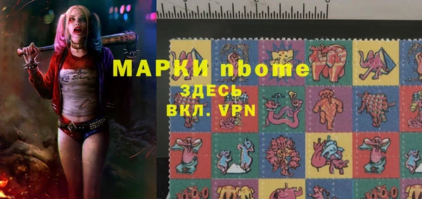 ПСИЛОЦИБИНОВЫЕ ГРИБЫ Арсеньев