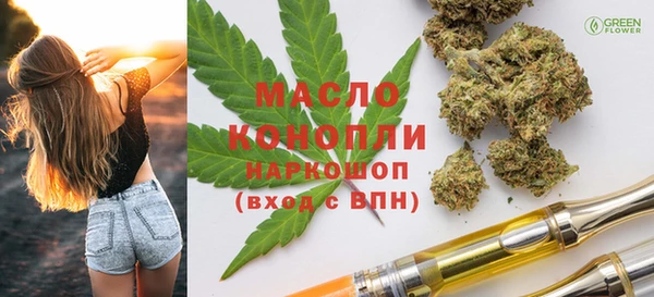 индика Аркадак