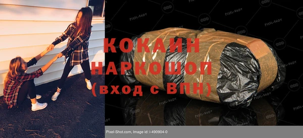 ПСИЛОЦИБИНОВЫЕ ГРИБЫ Арсеньев